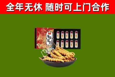 阳东区回收冬虫夏草价格